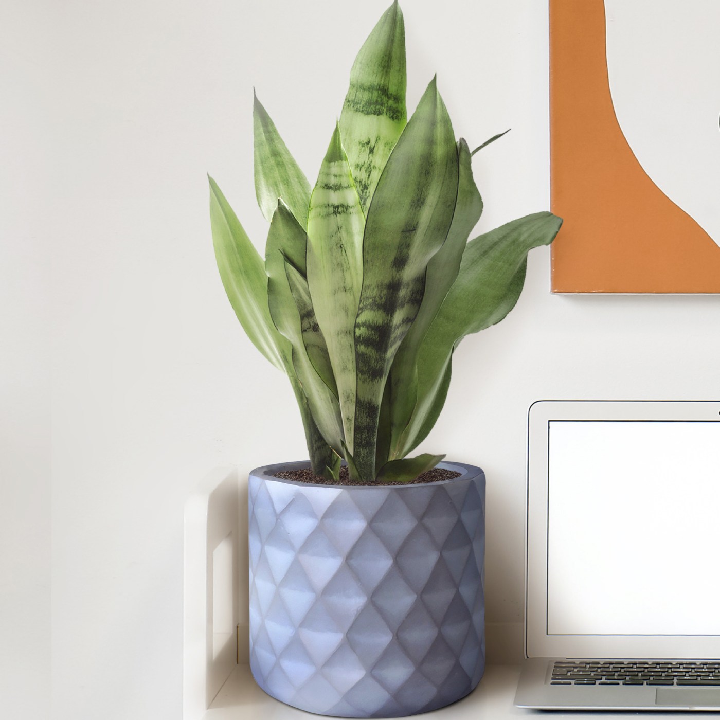 IDEALIST Lite Diamond Style Indoor Hanging Planter