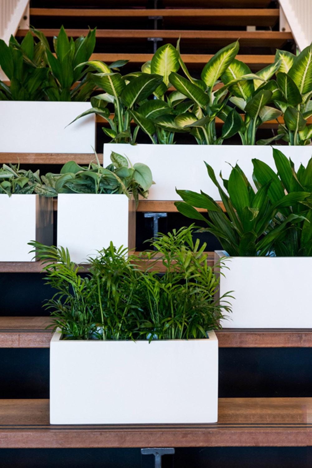 Fibrestone Matt Fleur Square Planter by Idealist Premium
