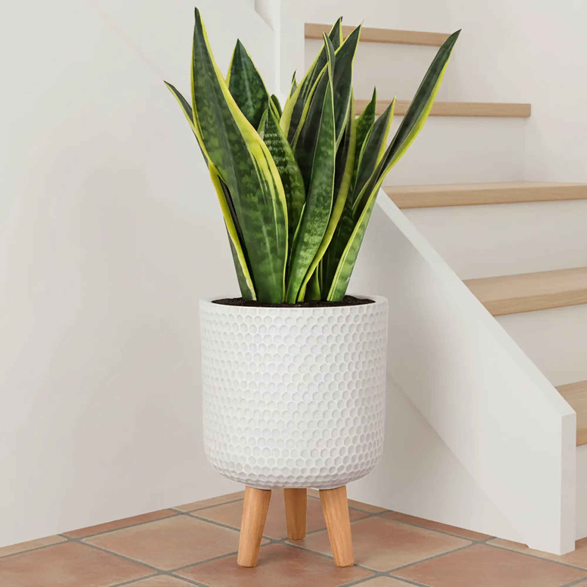 IDEALIST Lite Honeycomb Style Cylinder Planter on Legs, Round Pot Plant Stand Indoor