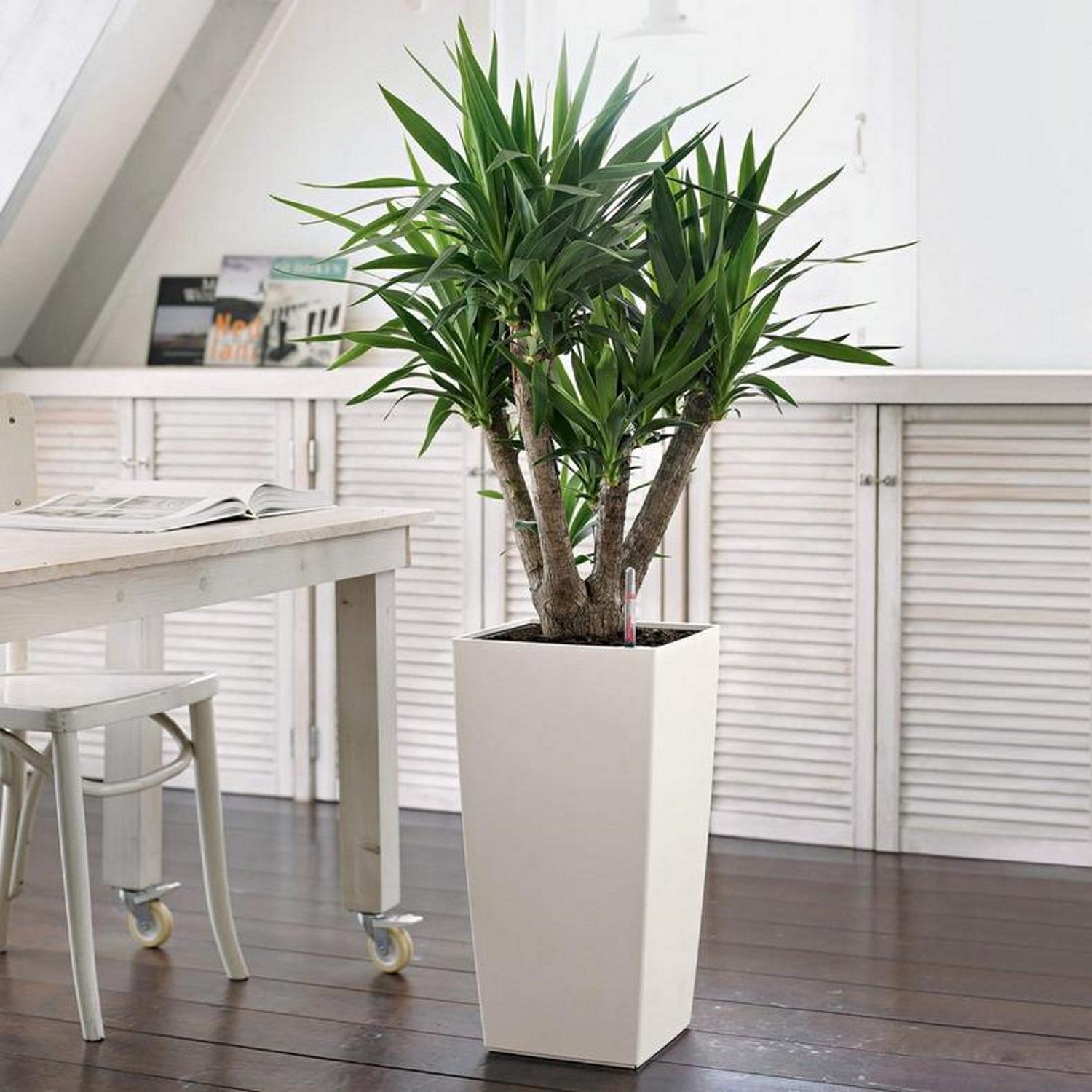 LECHUZA CUBICO Color Square Tall Poly Resin Self-watering Planter