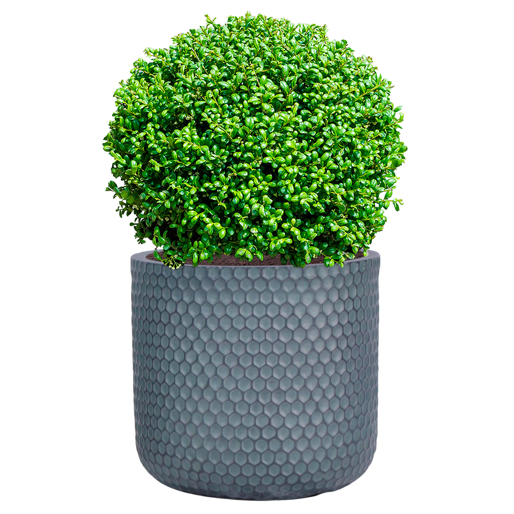 IDEALIST Lite Honeycomb Style Cylinder Round Outdoor Planter