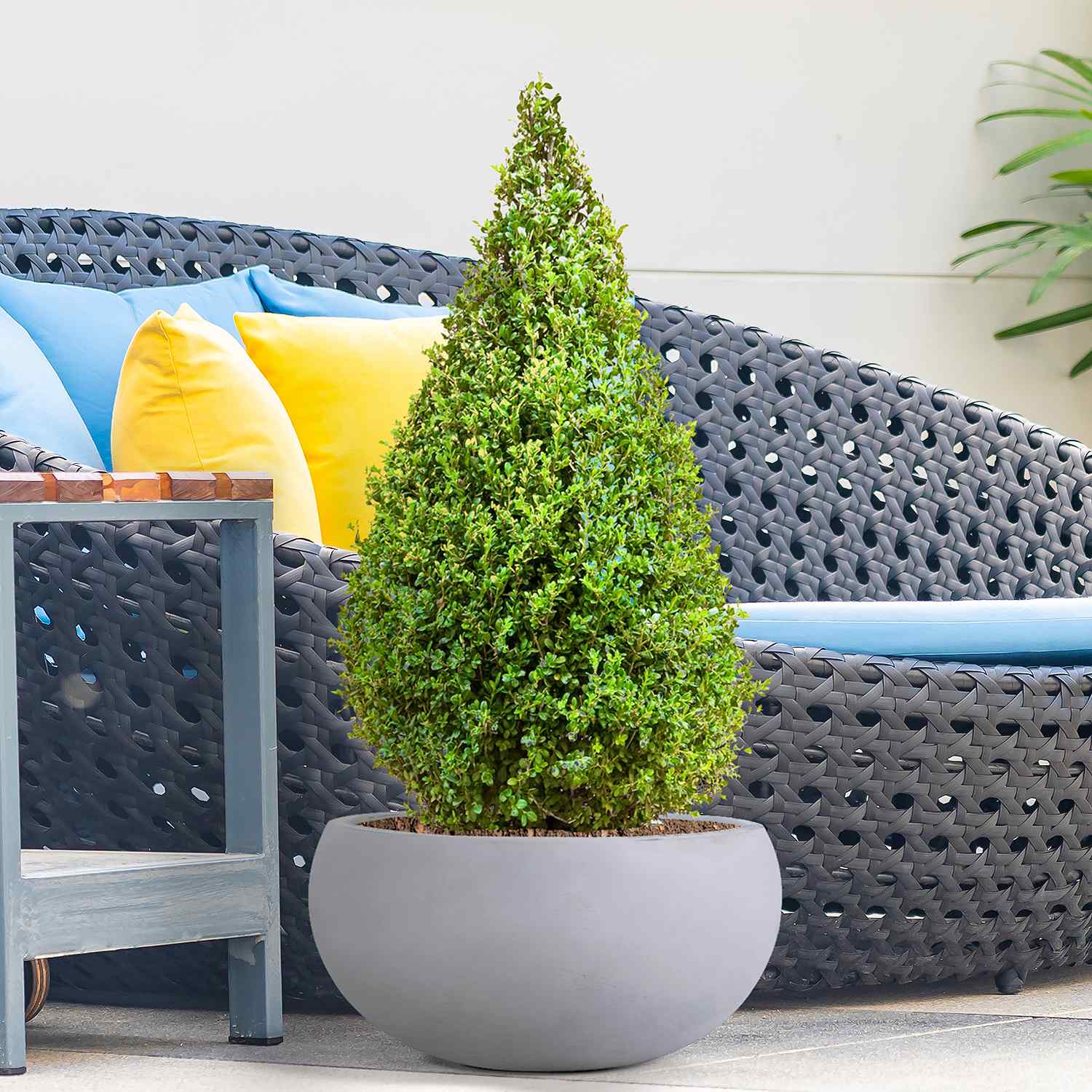 IDEALIST Lite Classic Smooth Bowl Outdoor Planter