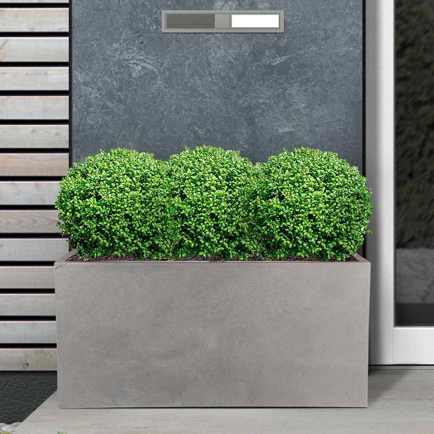 IDEALIST Lite Contemporary Light Concrete Trough Planter
