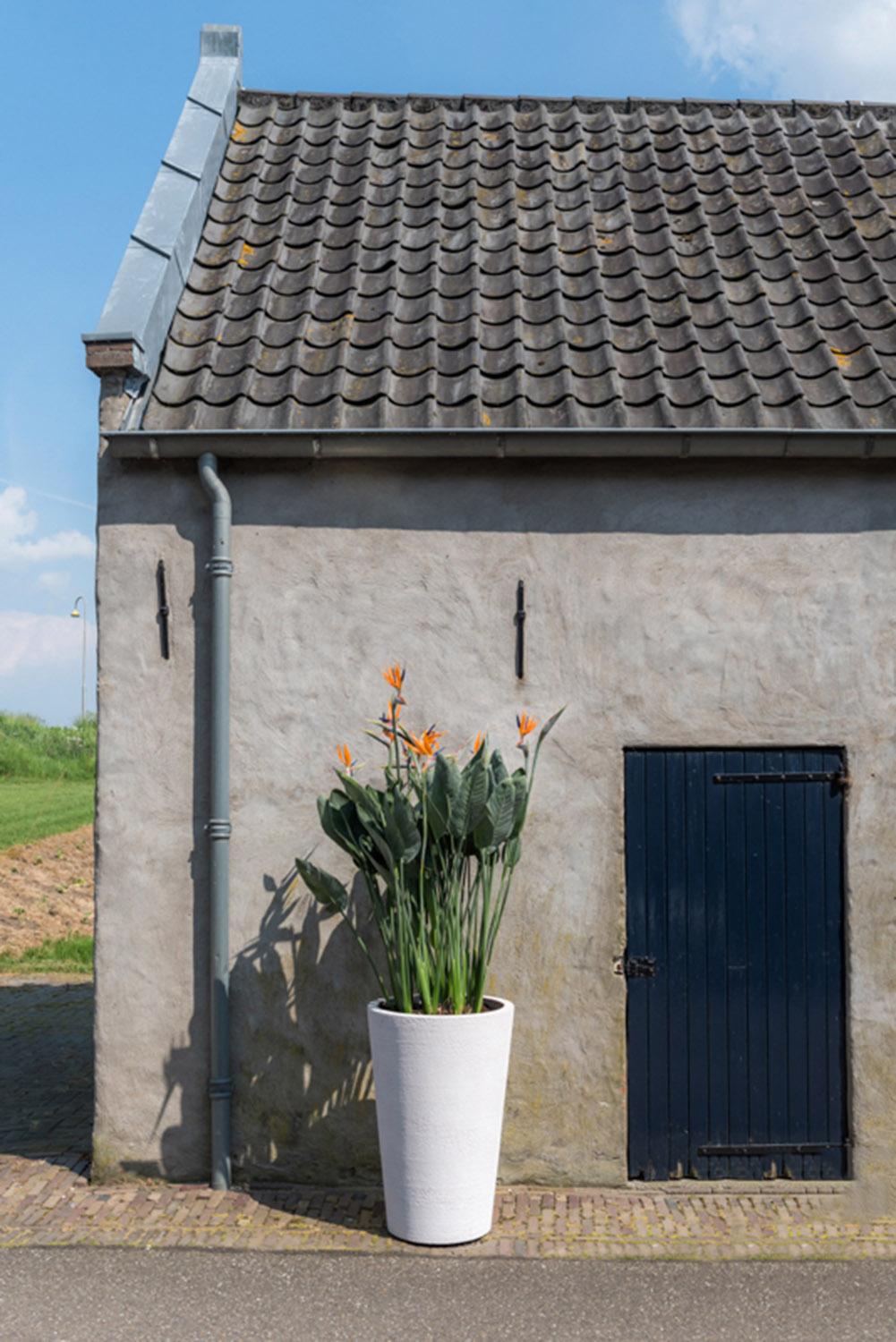 Fibrestone Belle Tall Planter by Idealist Premium