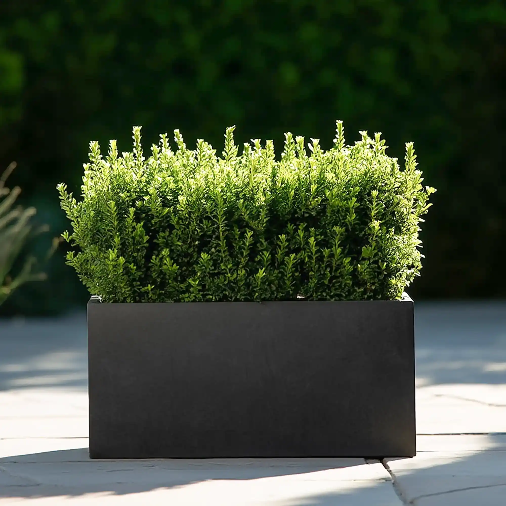 IDEALIST Lite Contemporary Light Concrete High Trough Planter