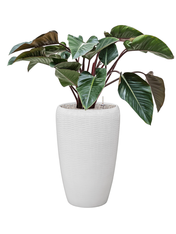 Amfi Partner Glossy Snake Tall Indoor Planter