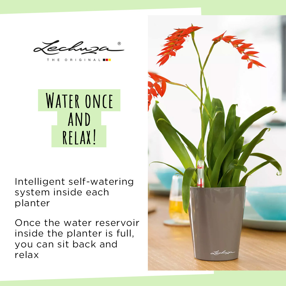 LECHUZA DELTINI|MINI-DELTINI Round Poly Resin Indoor Self-watering Planter
