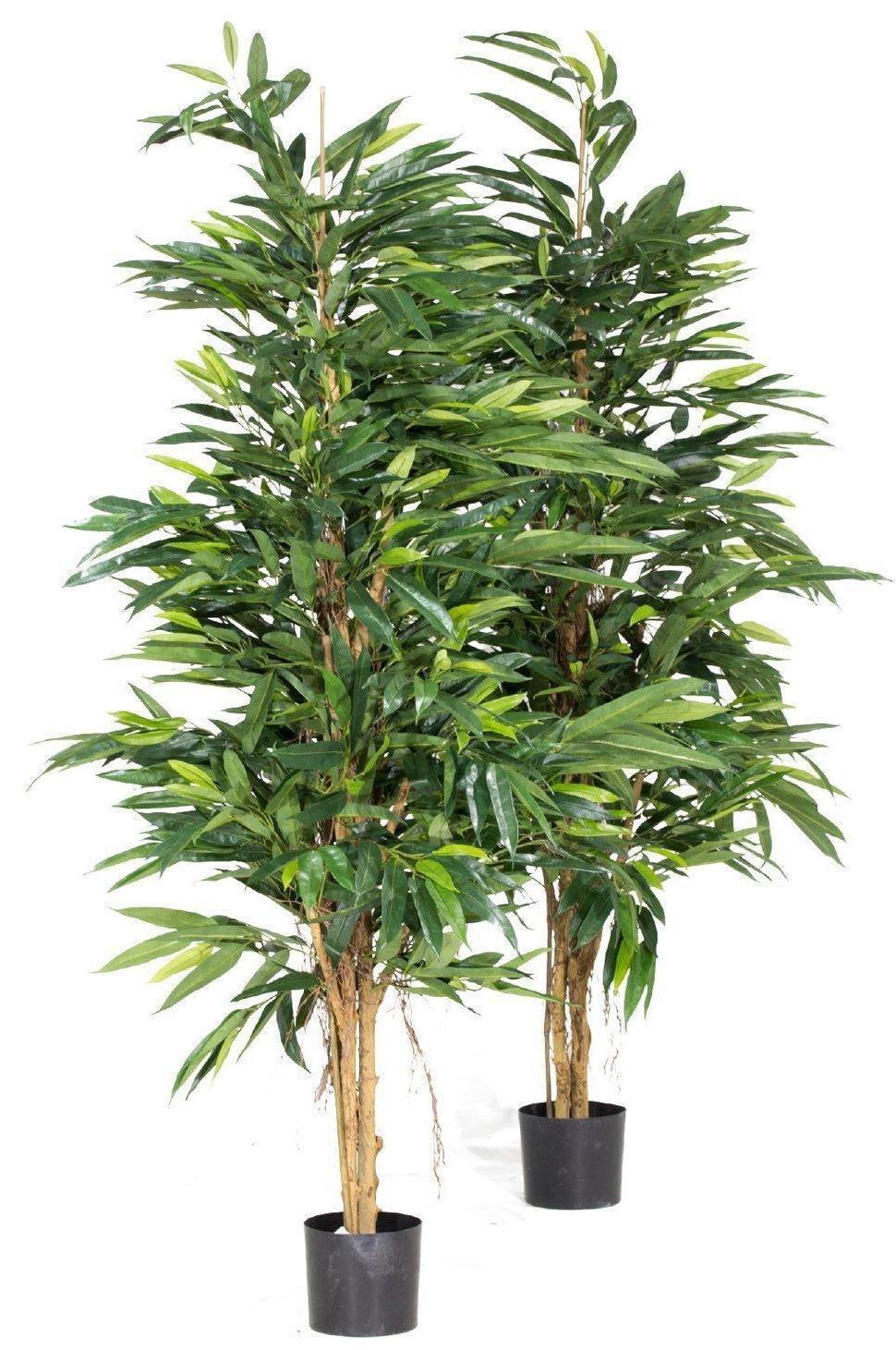 LONGIFOLIA ROYAL NATURAL Artificial Tree Plant