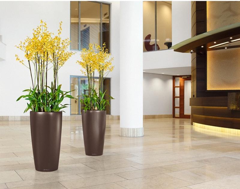 LECHUZA Rondo Round Tall Poly Resin Self-watering Planter