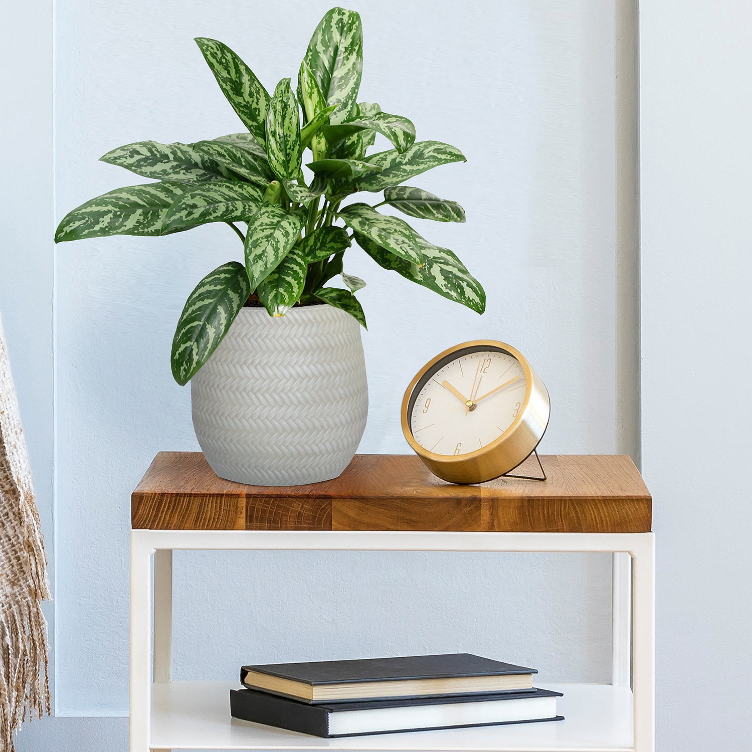 IDEALIST Lite Plaited Style Table and Hanging Plant Pot Dual Use Indoor Egg Planter