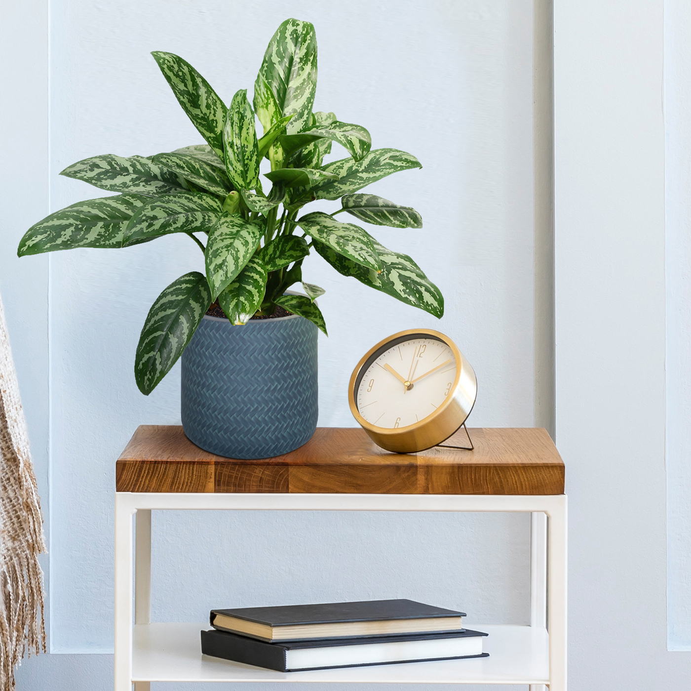 IDEALIST Lite Plaited Style Table and Hanging Cylinder Round Plant Pot Dual Use Indoor Planter