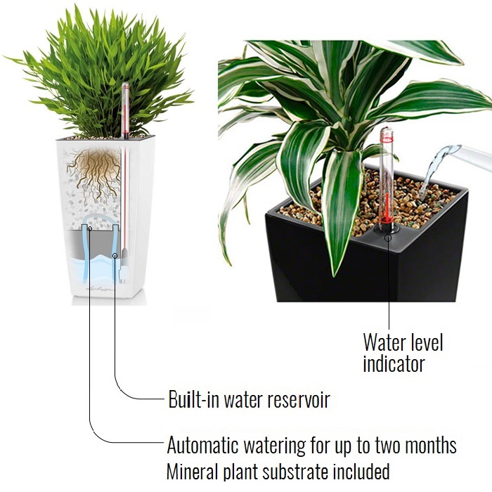 LECHUZA CUBI Square Poly Resin Indoor Self-watering Planter