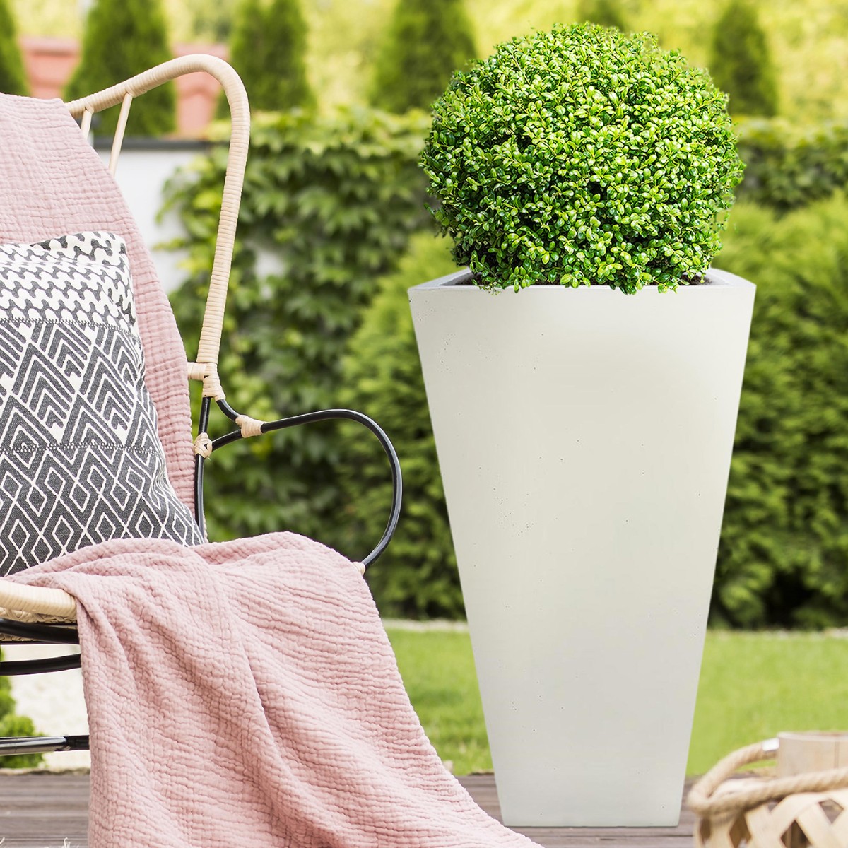 Windowsill Planters Buying Guide