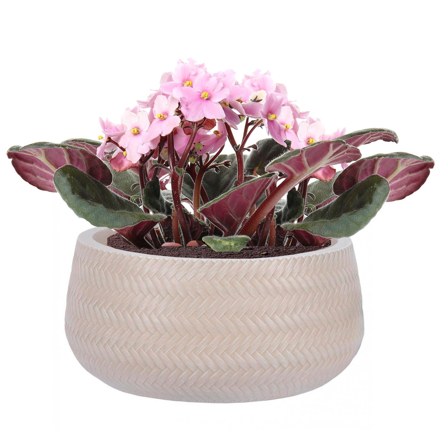 IDEALIST Lite Plaited Style Bowl Outdoor Planter
