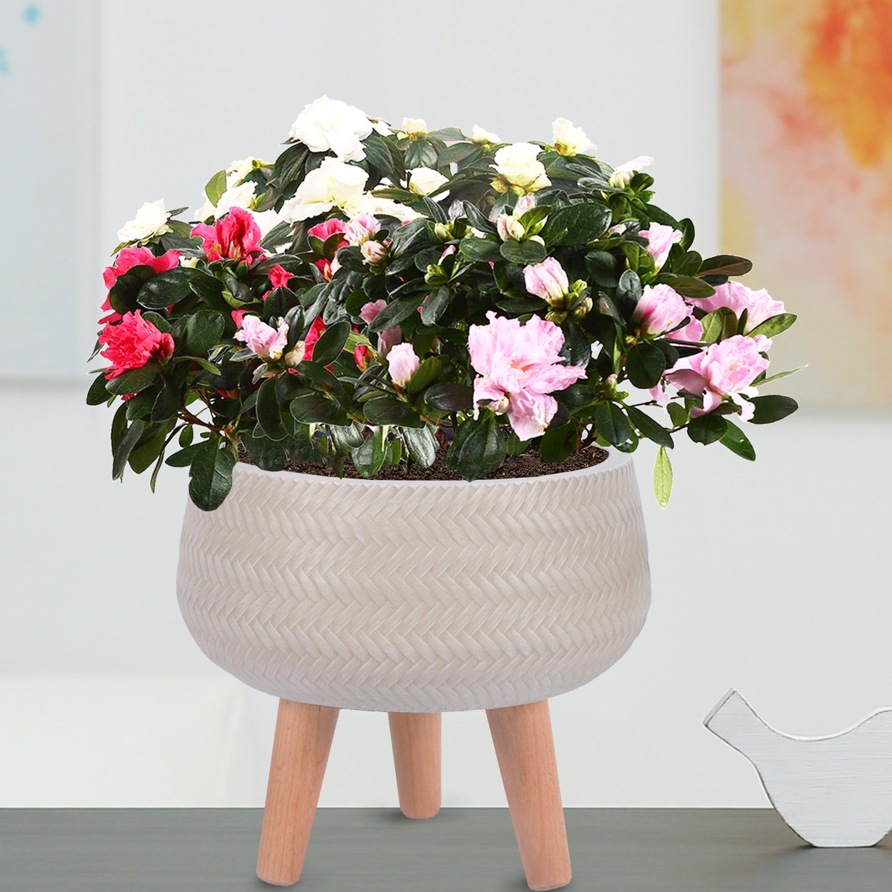 IDEALIST Lite Plaited Style Bowl Planter on Legs, Round Pot Plant Stand Indoor
