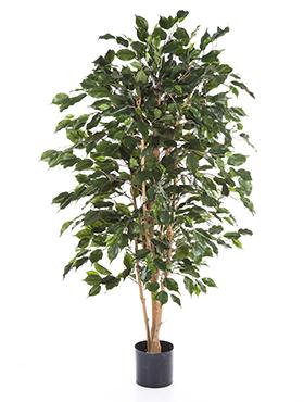 Ficus Exotica Artificial Tree Plant 150 cm