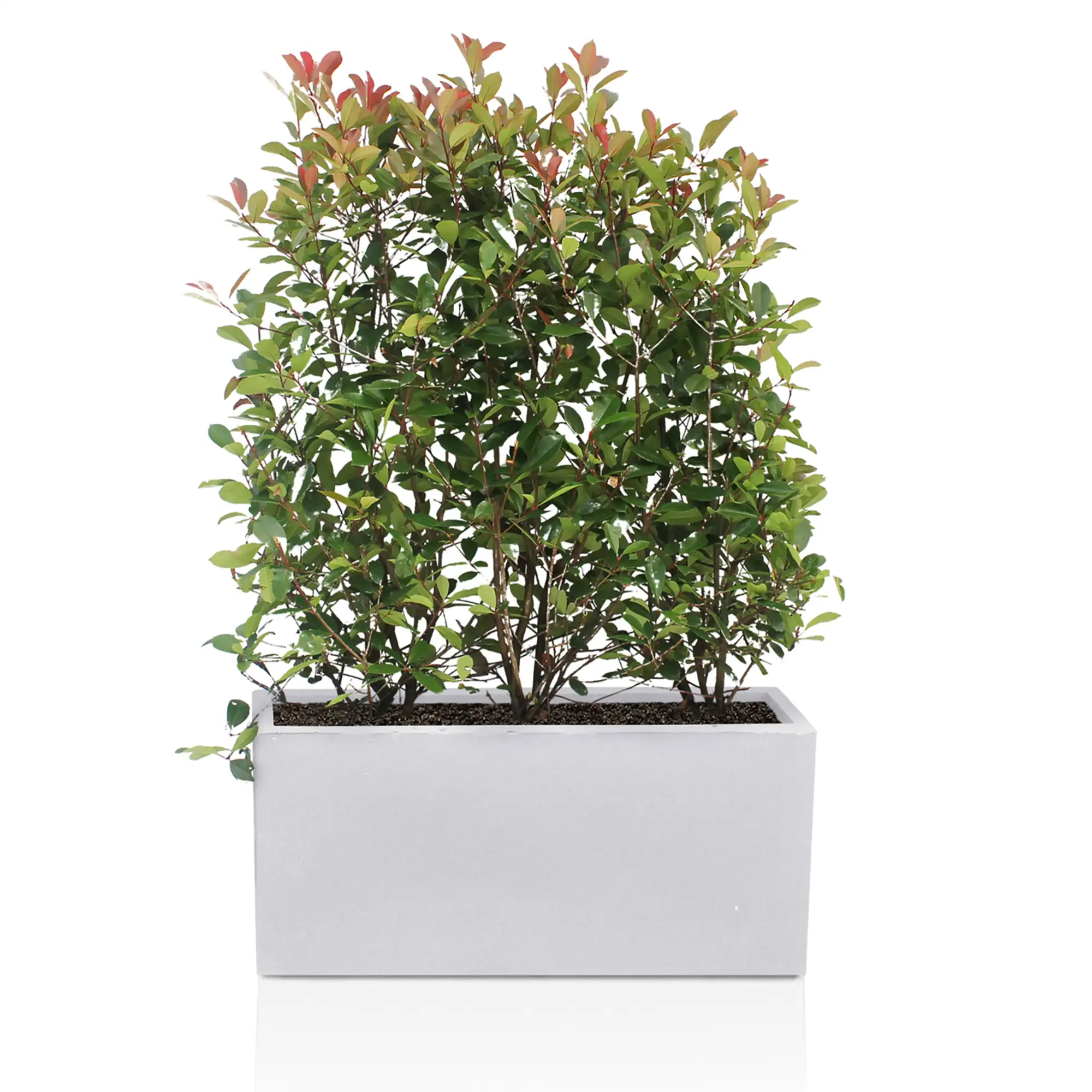 IDEALIST Lite Contemporary Light Concrete Trough Planter