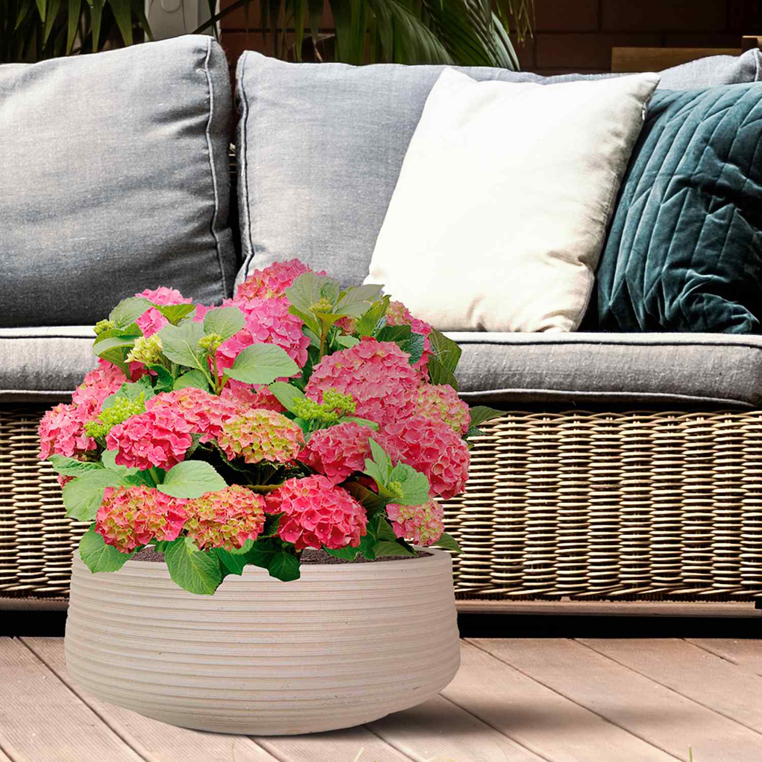 IDEALIST Lite Large Ribbed Light Concrete Bowl Planter