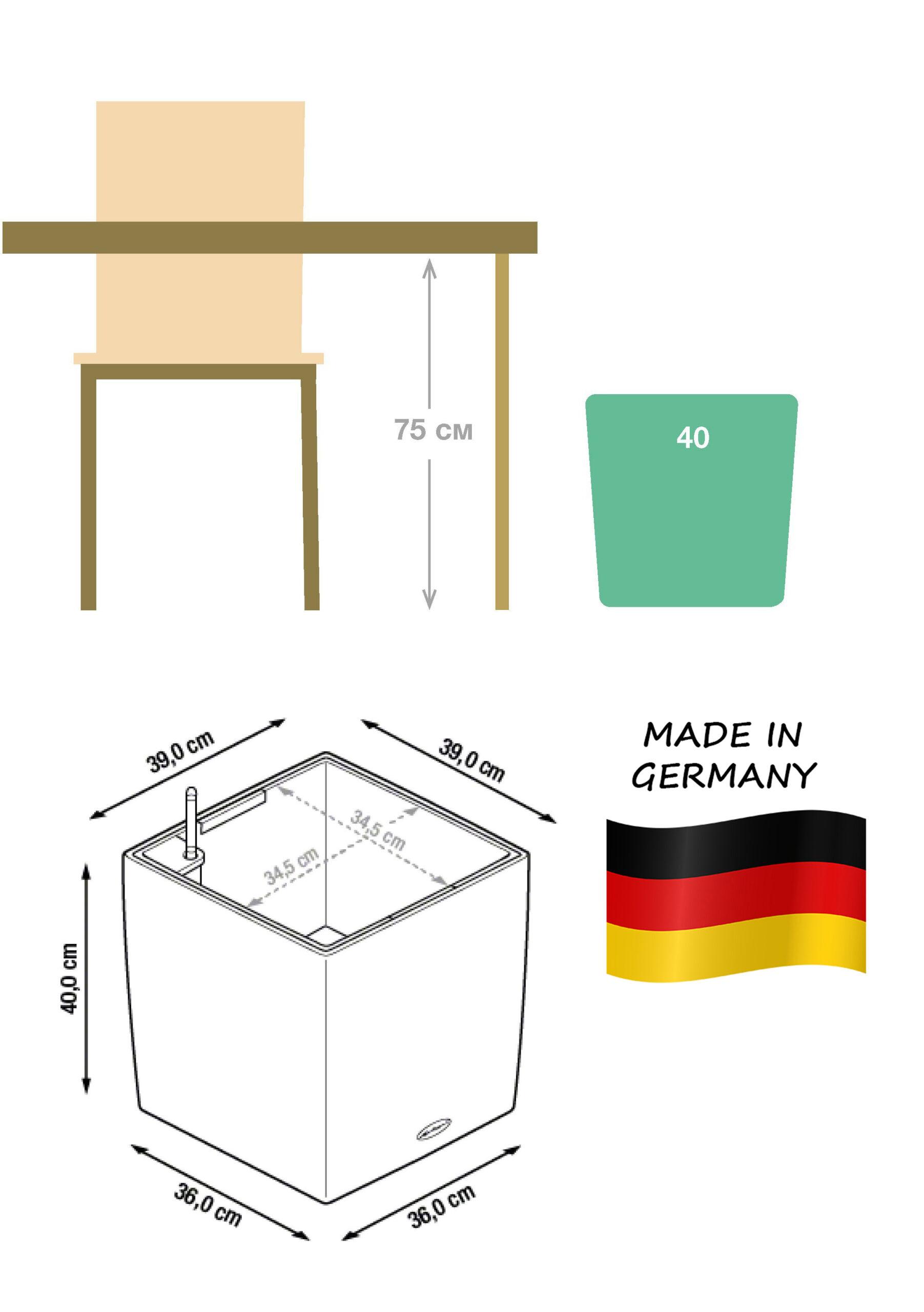 Monstera Deliciosa in LECHUZA CUBE Cottage Self-watering Planter, Total Height 160 cm