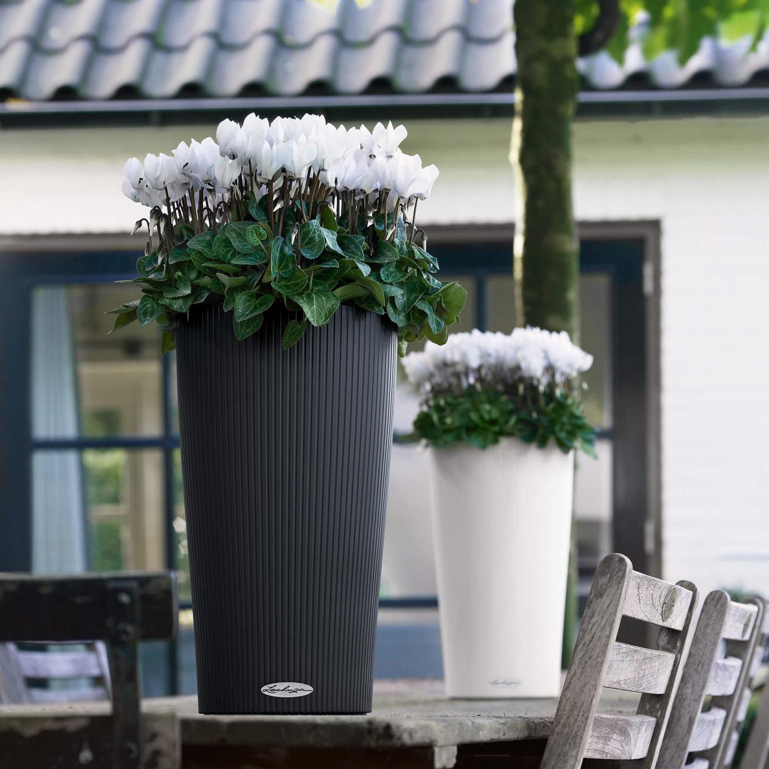 LECHUZA CILINDRO Color Round Tall Poly Resin Self-watering Planter