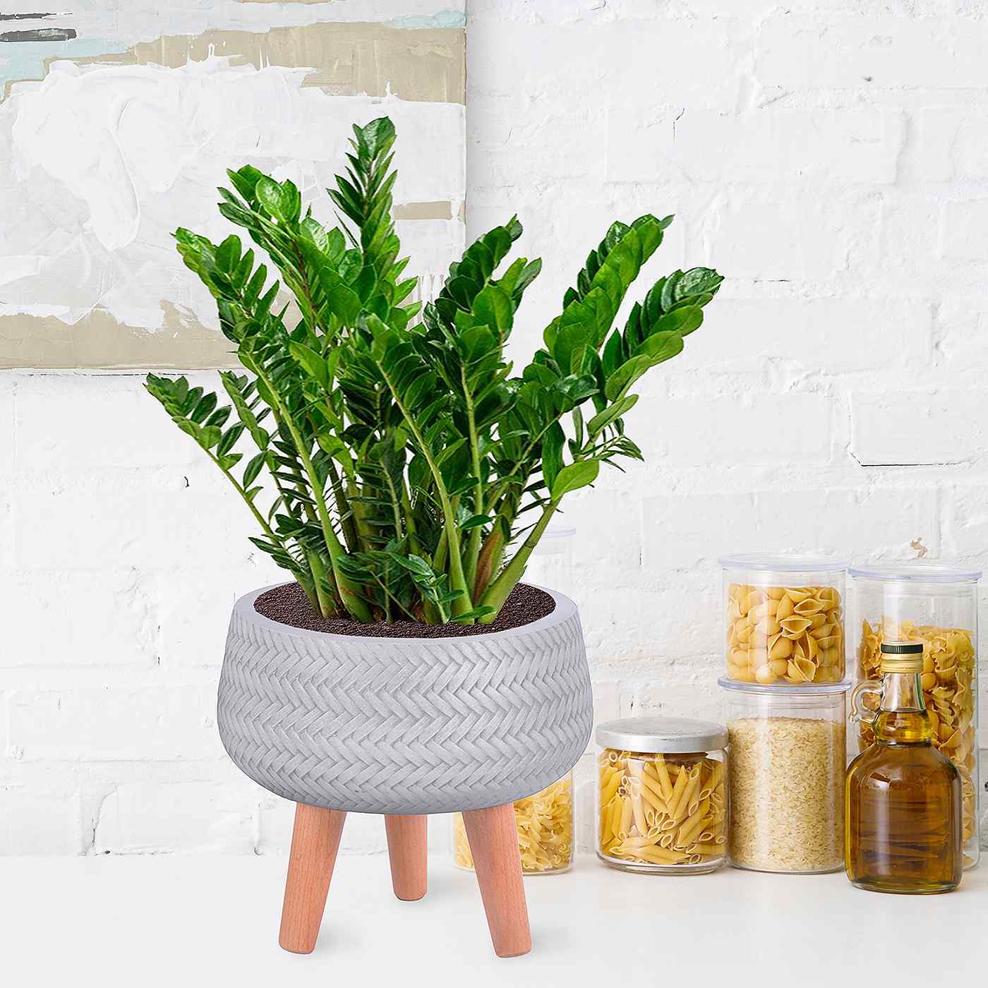 IDEALIST Lite Plaited Style Bowl Planter on Legs, Round Pot Plant Stand Indoor