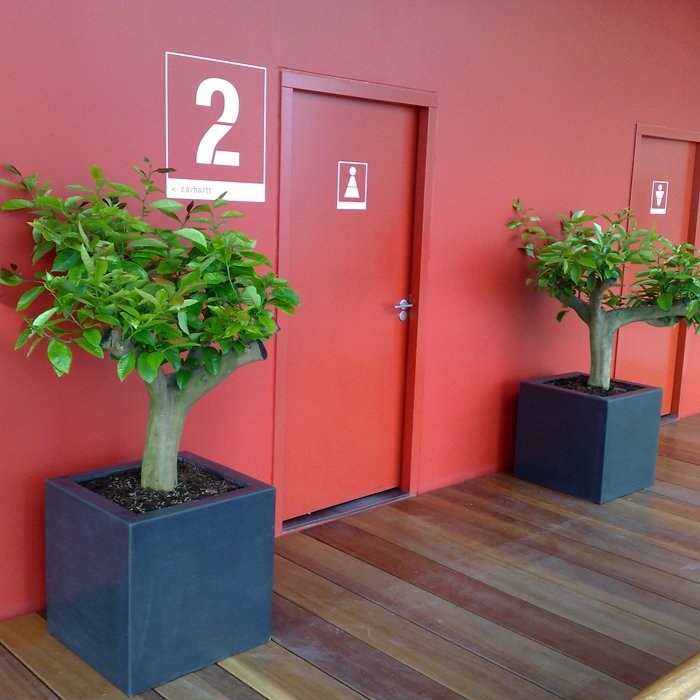 Fibreglass Cube Outdoor Planter