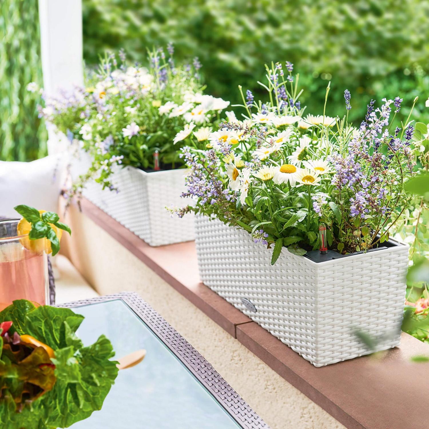 LECHUZA BALCONERA Cottage Trough Poly Resin Self-watering Planter