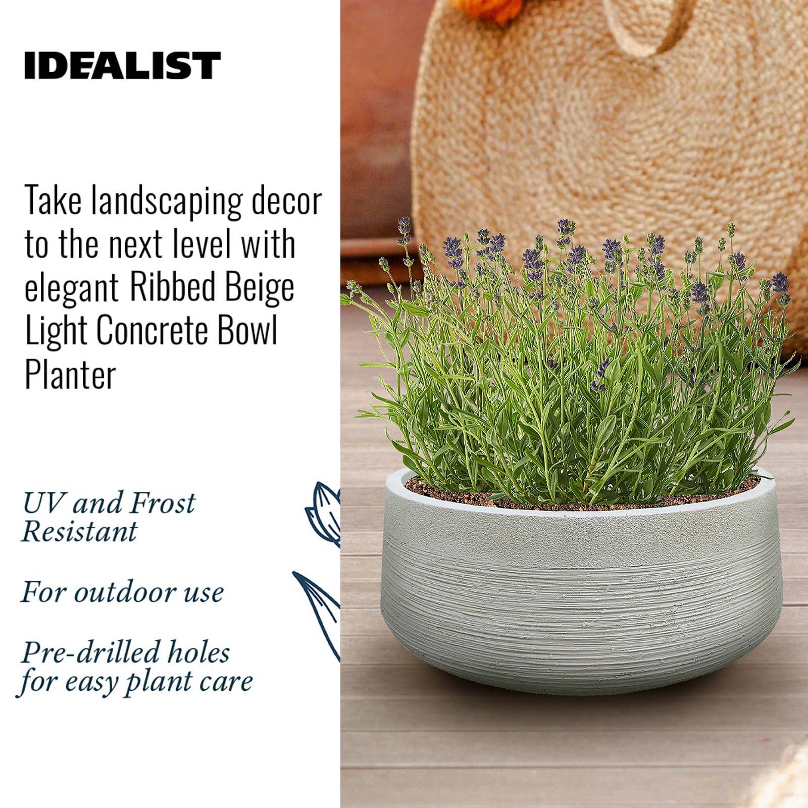 IDEALIST Lite Ribbed Light Concrete Bowl Planter
