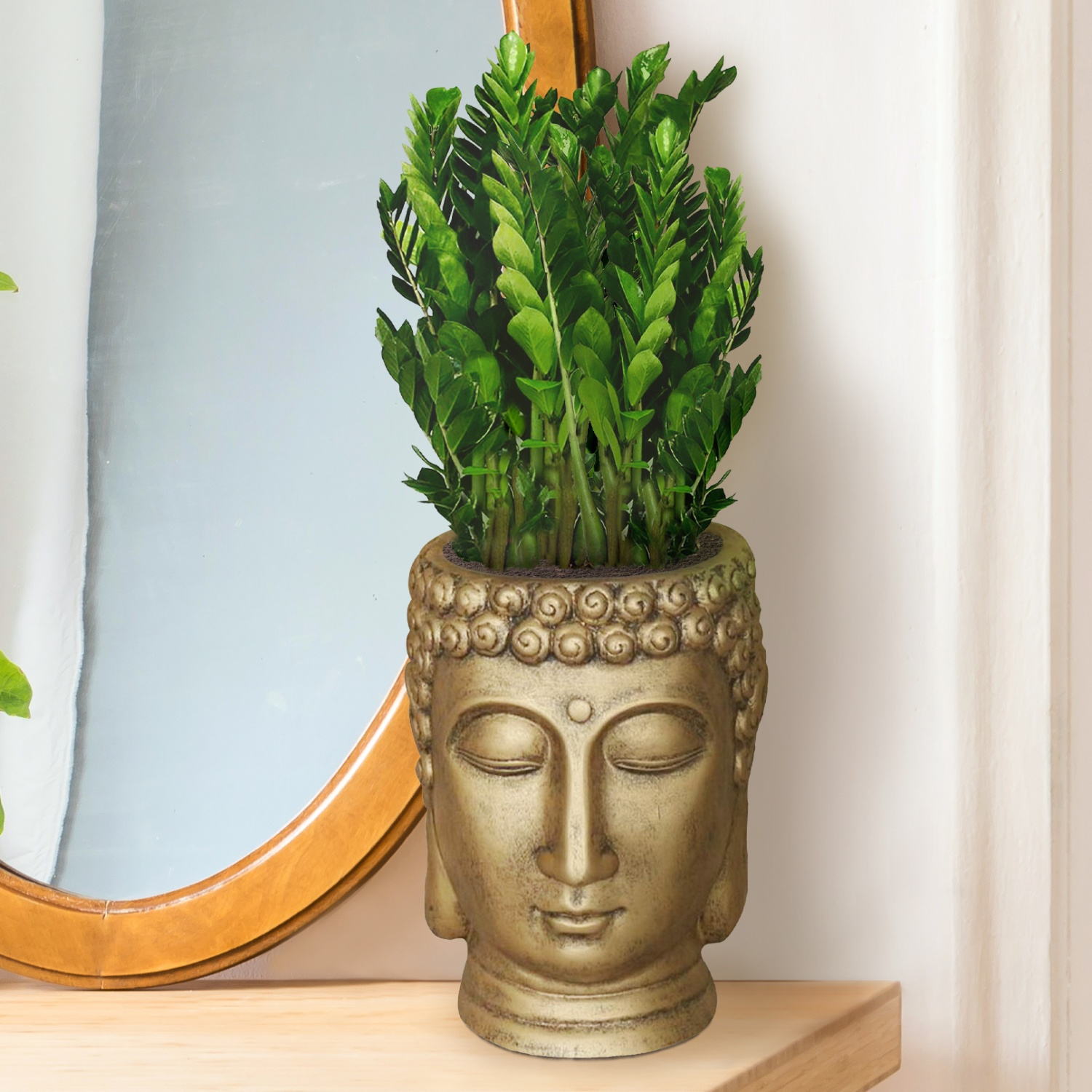 IDEALIST Lite Buddha Face Plant Pot Indoor