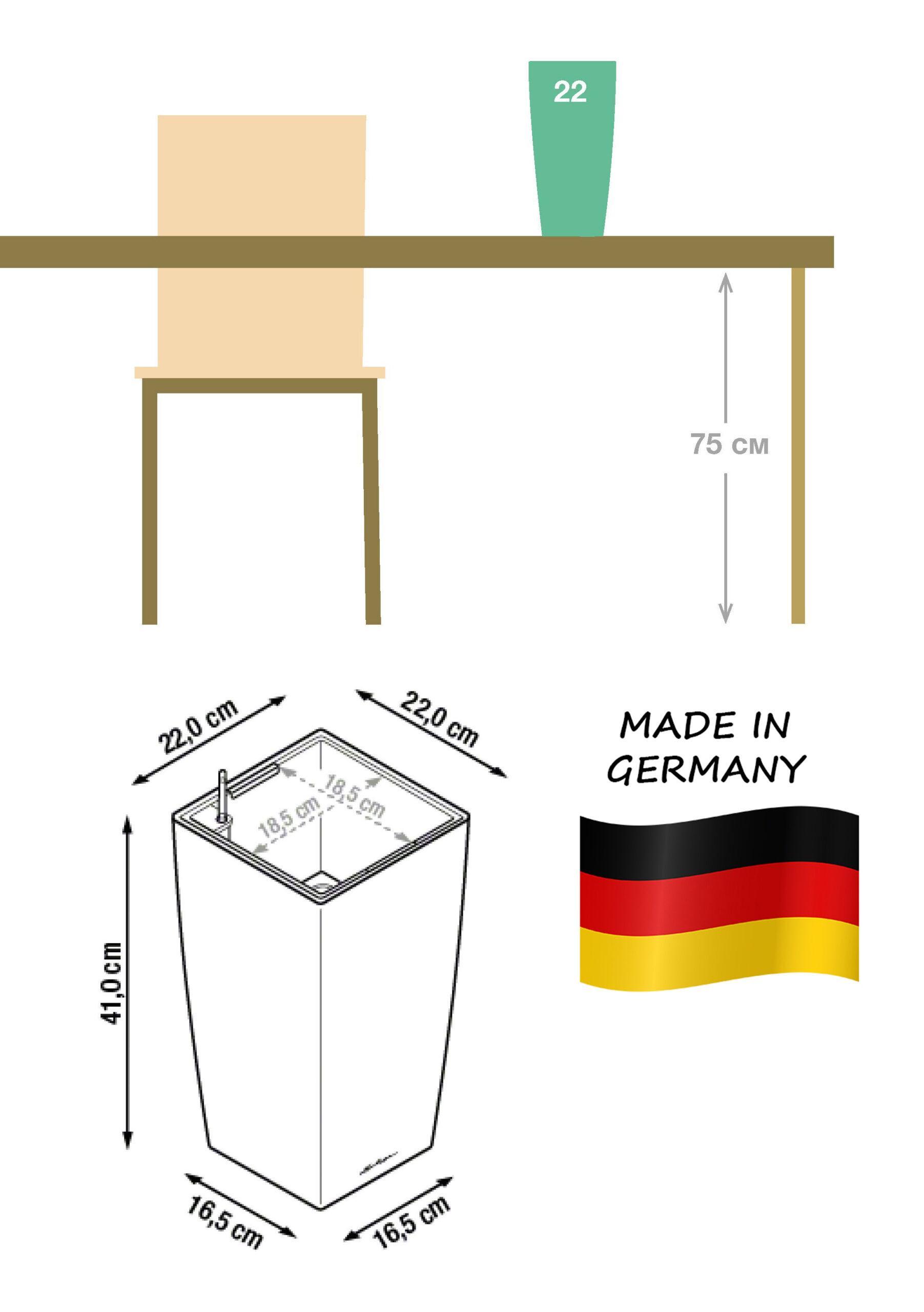 Yucca in LECHUZA CUBICO Self-watering Planter, Total Height 70 cm