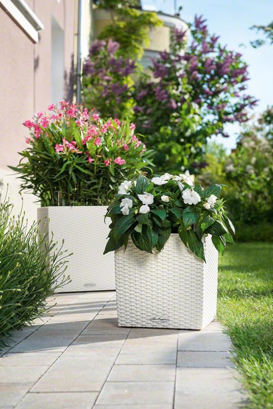 LECHUZA CUBE Cottage Square Poly Resin Self-watering Planter