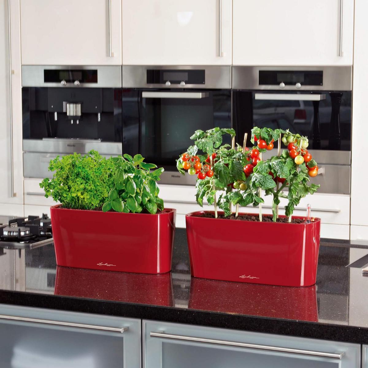 LECHUZA DELTA 10|DELTA 20 Poly Resin Indoor Self-watering Planter