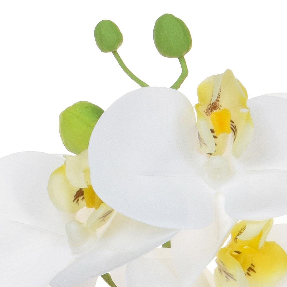 AN-Phalaenopsis Real Touch in Pot Artificial Flower Plant
