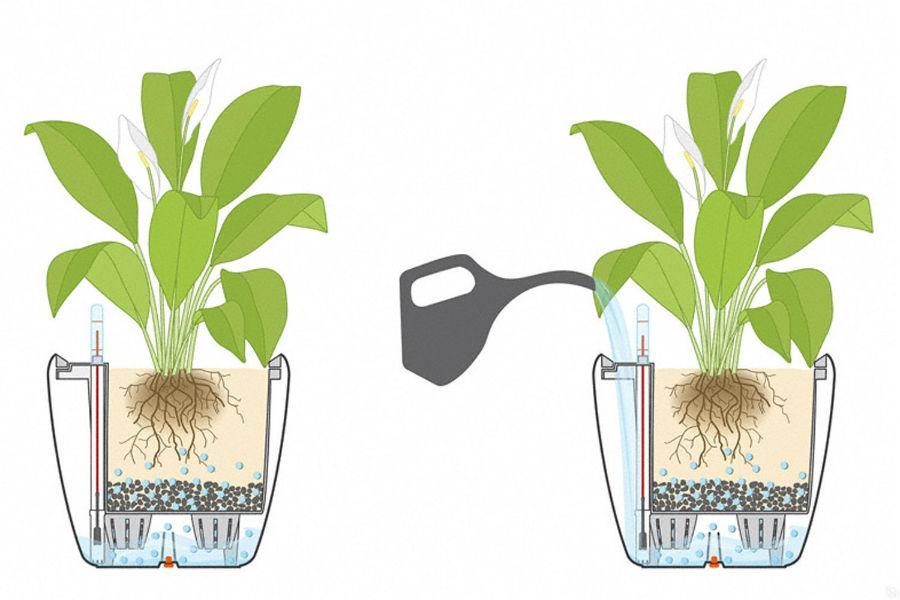 LECHUZA Quadro LS Square Poly Resin Self-watering Planter