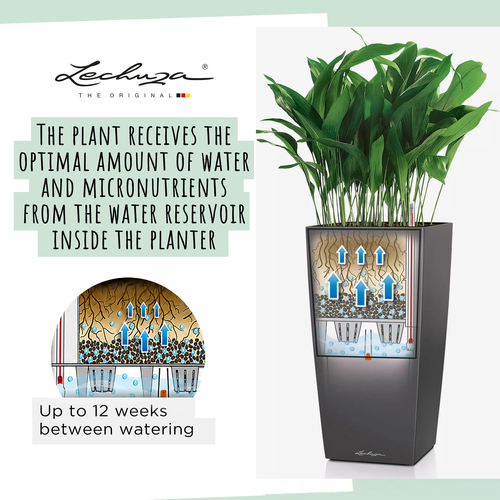 LECHUZA CUBICO ALTO Square Tall Poly Resin Self-watering Planter