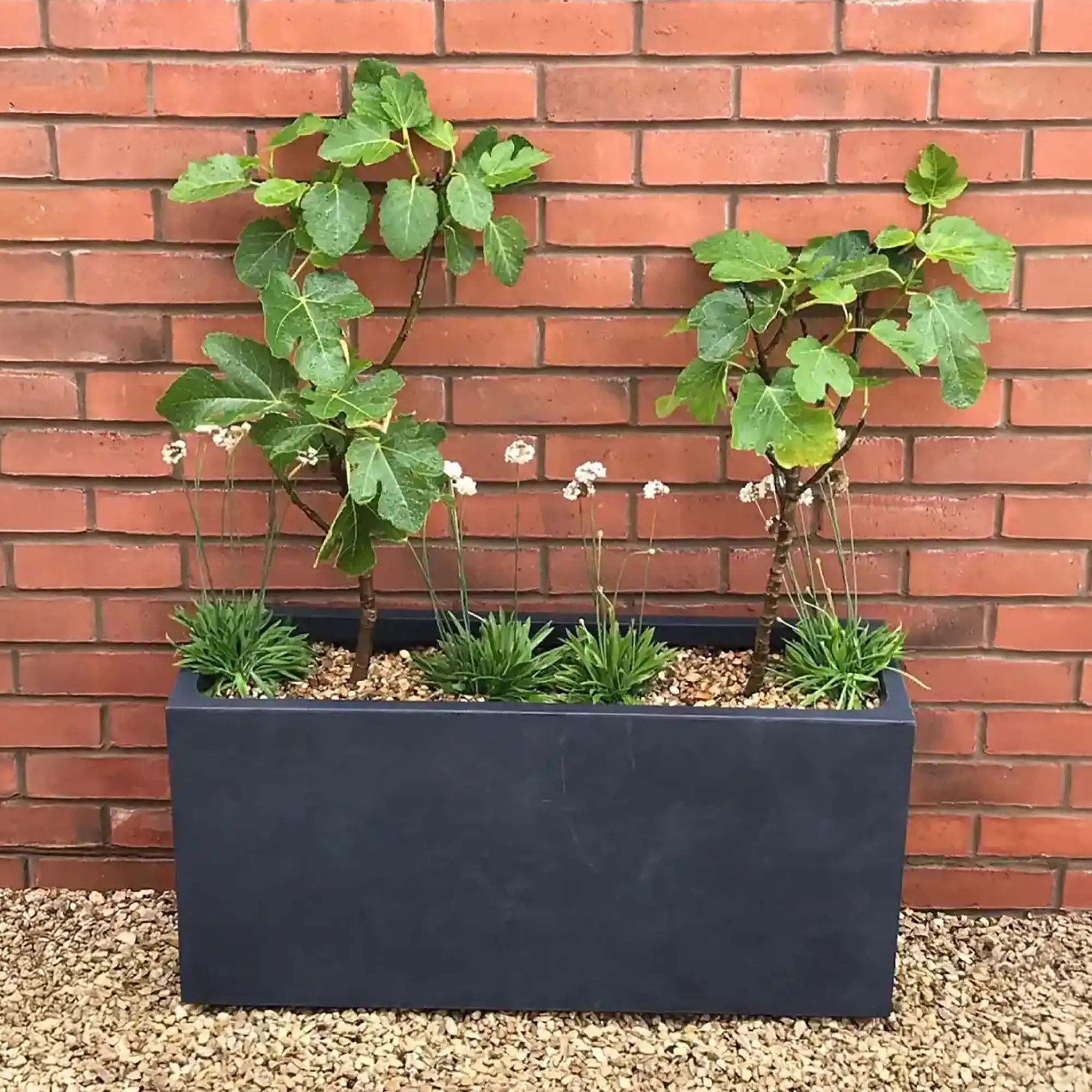 IDEALIST Lite Contemporary Light Concrete High Trough Planter Set