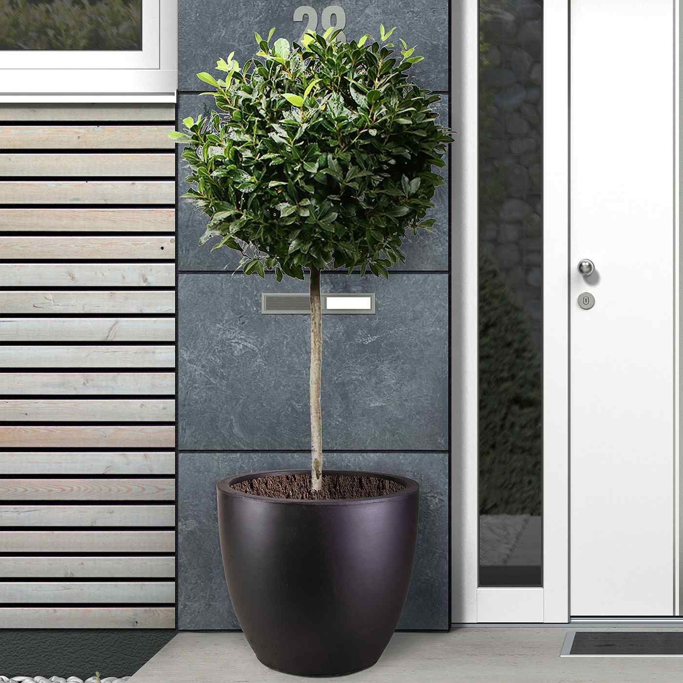 IDEALIST Lite Contemporary Light Concrete Egg Planter