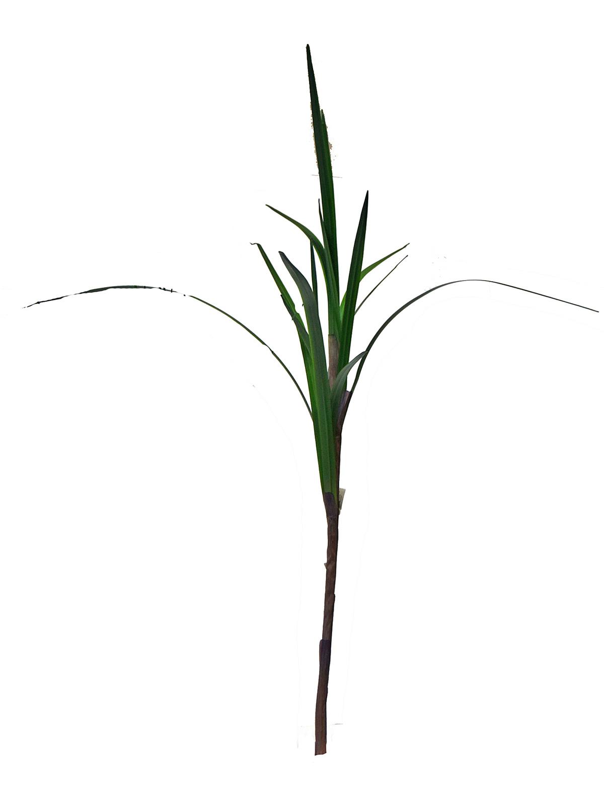 Reed Stem Artificial Grass Plant