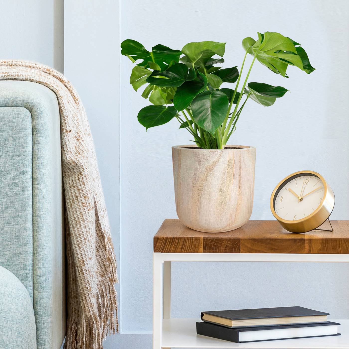 HORTICO CRAFT Wooden House Planter Round Indoor Plant Pot for House Plants with Waterproof Liner