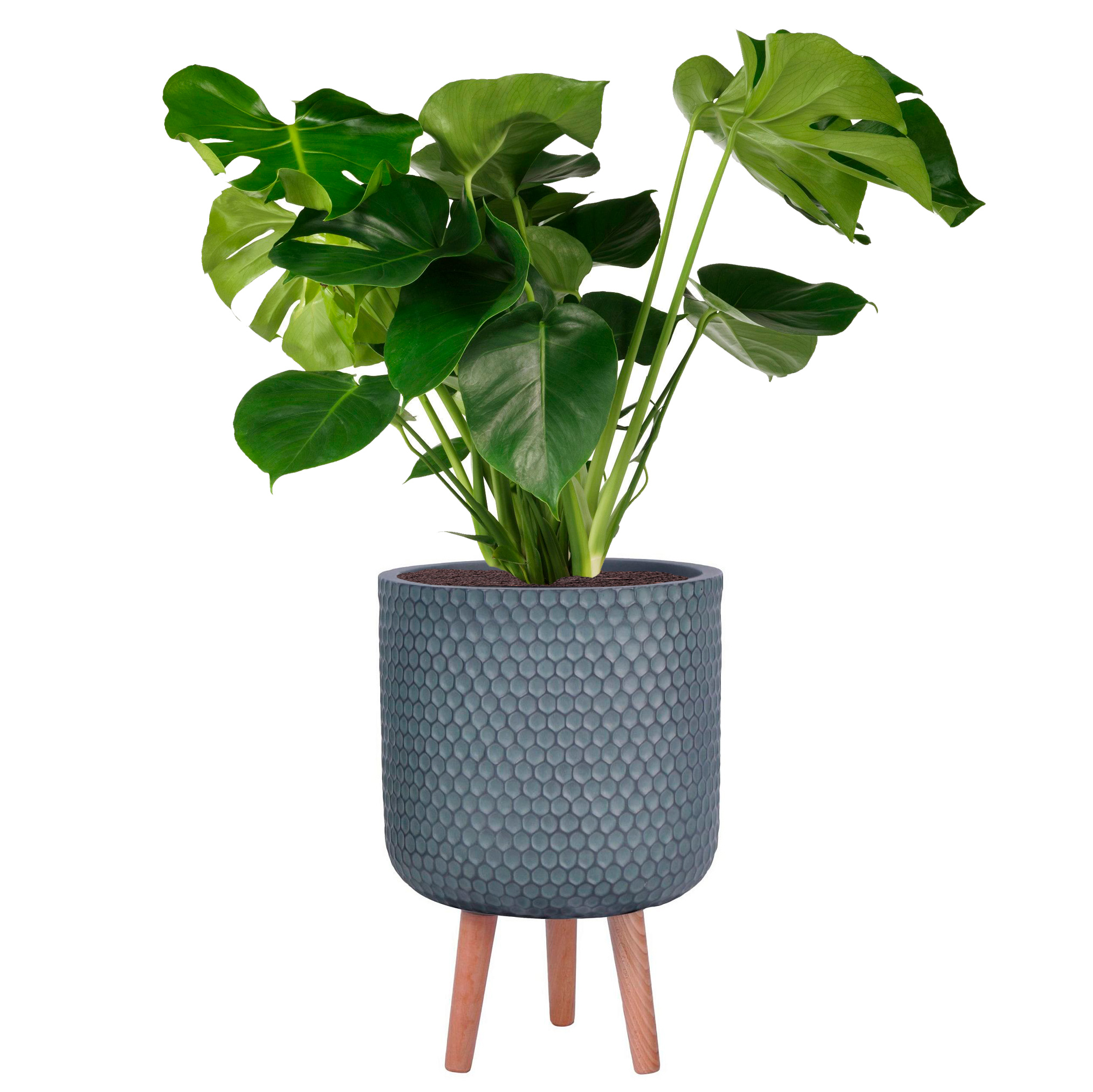 IDEALIST Lite Honeycomb Style Cylinder Planter on Legs, Round Pot Plant Stand Indoor