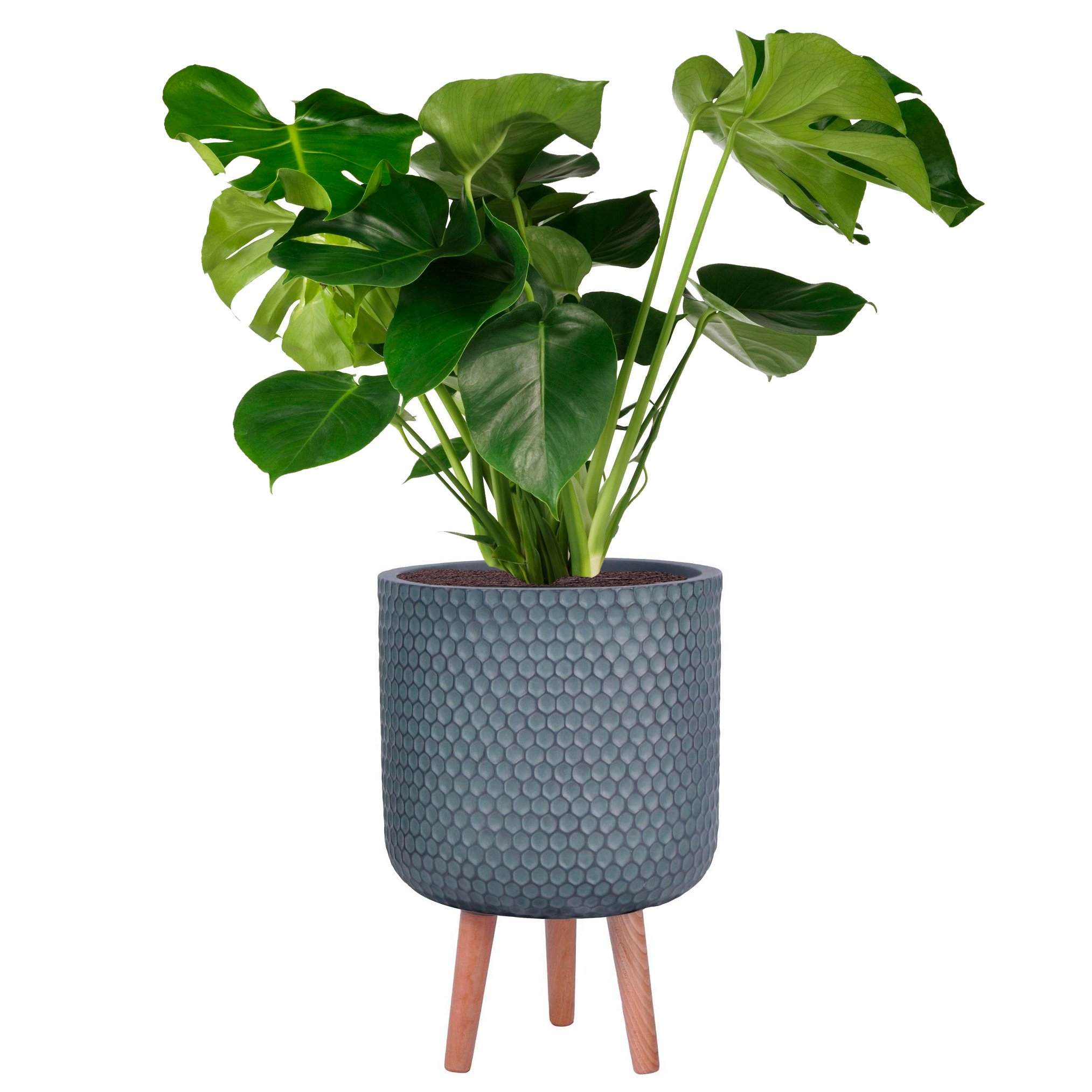 IDEALIST Lite Honeycomb Style Cylinder Planter on Legs, Round Pot Plant Stand Indoor