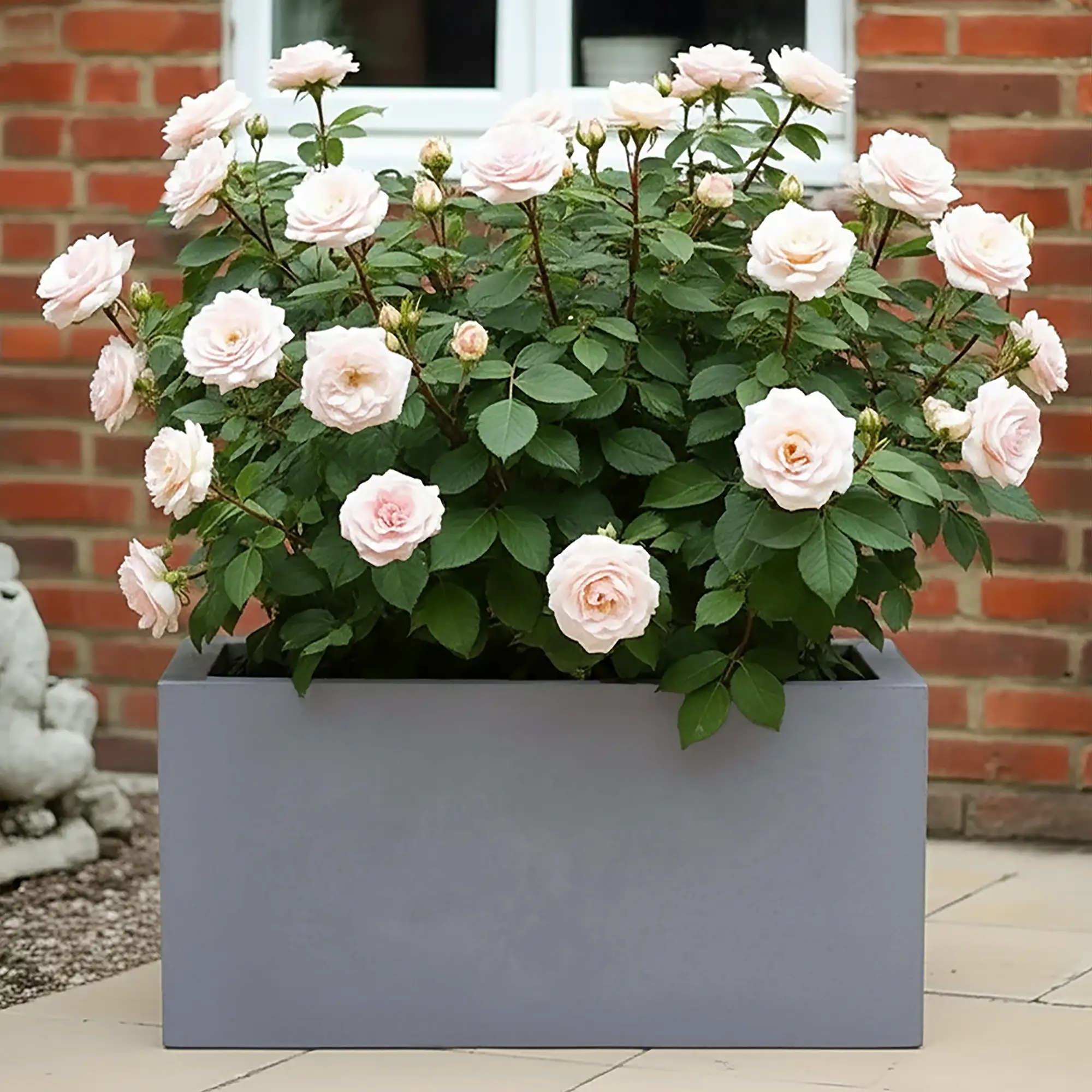 IDEALIST Lite Contemporary Light Concrete High Trough Planter