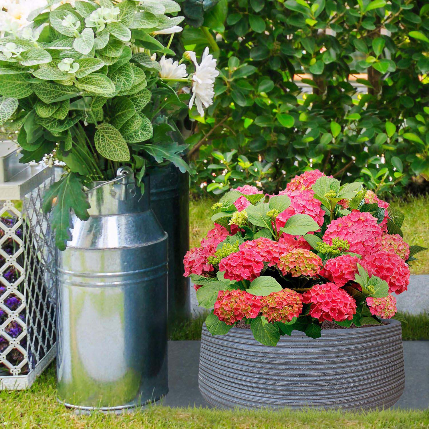 IDEALIST Lite Large Ribbed Light Concrete Bowl Planter