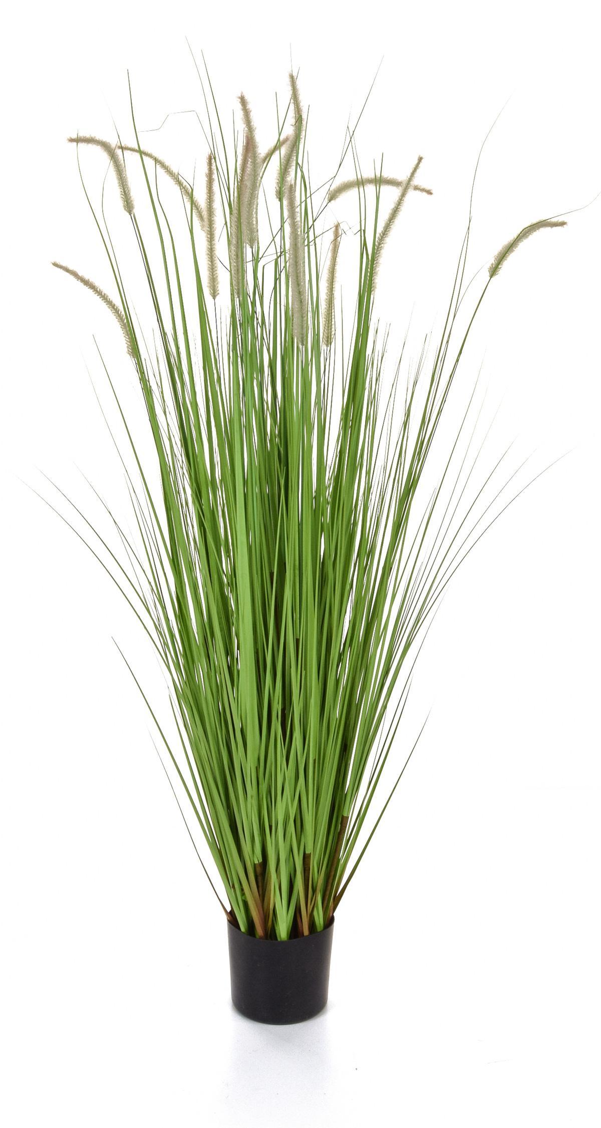 Dogtail with Pot Artificial Grass Plant