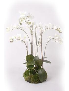 Phalaenopsis Orchid White Artificial Flower Plant