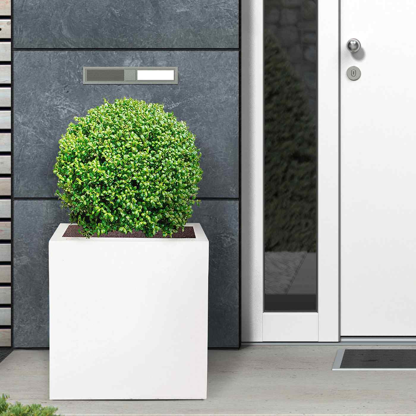 IDEALIST Lite Square Box Contemporary Light Concrete Planter