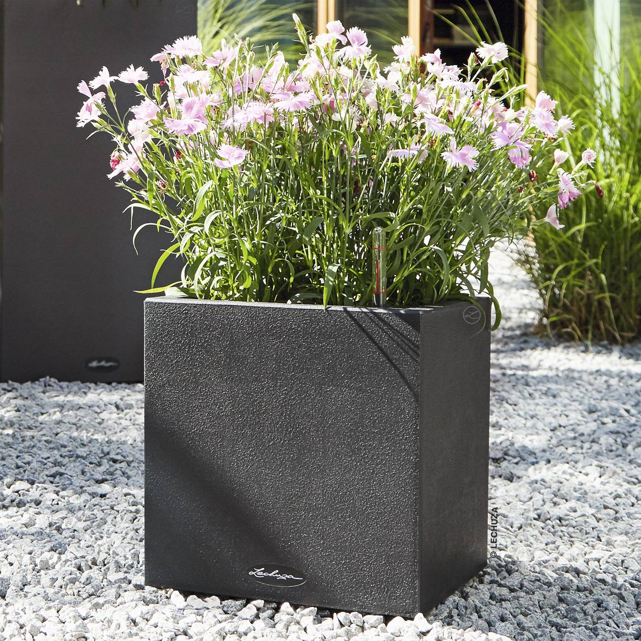 Lechuza Pflanzkübel Canto Stone low 30 x 30 cm Steingrau kaufen bei