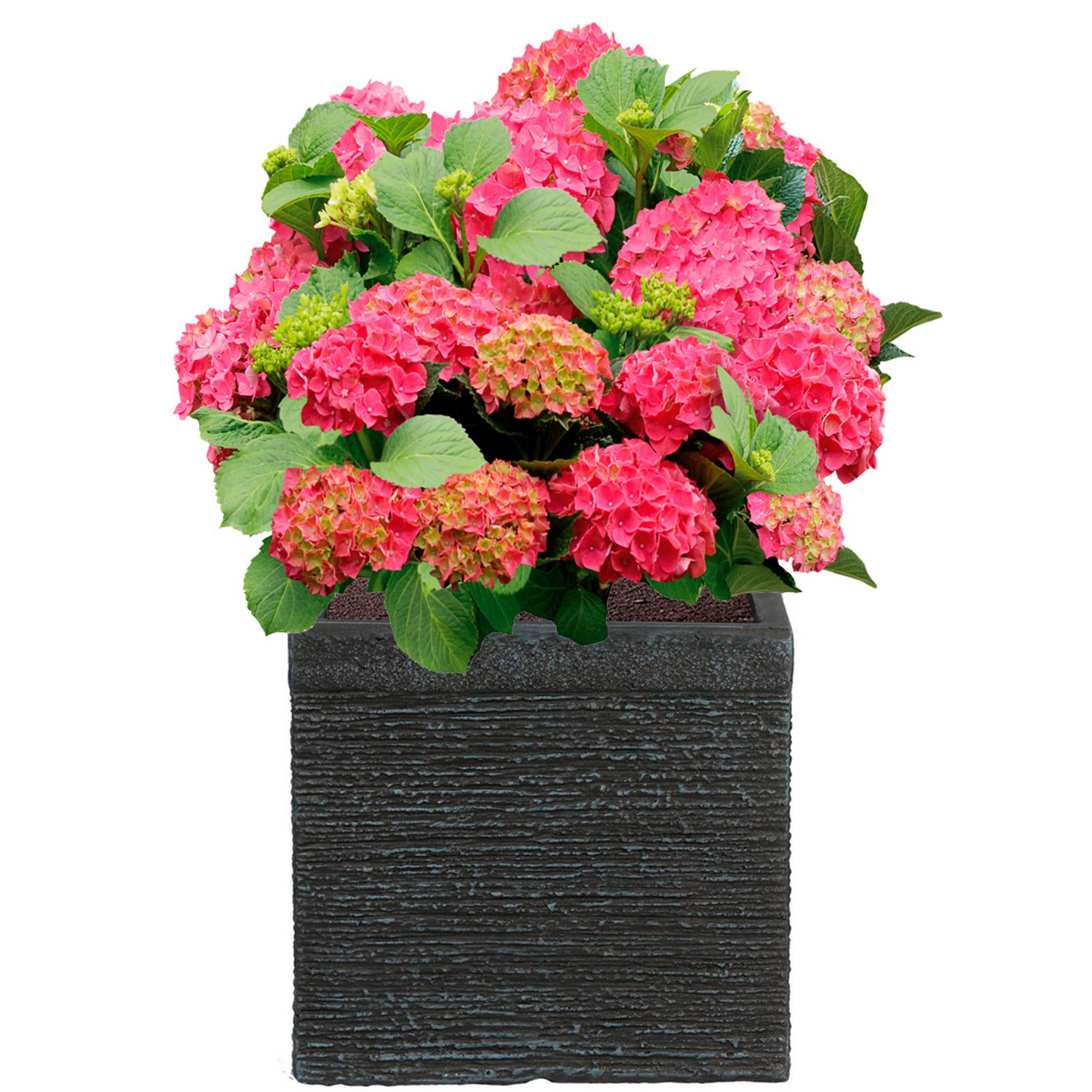 IDEALIST Lite Ribbed Light Concrete Square Planter