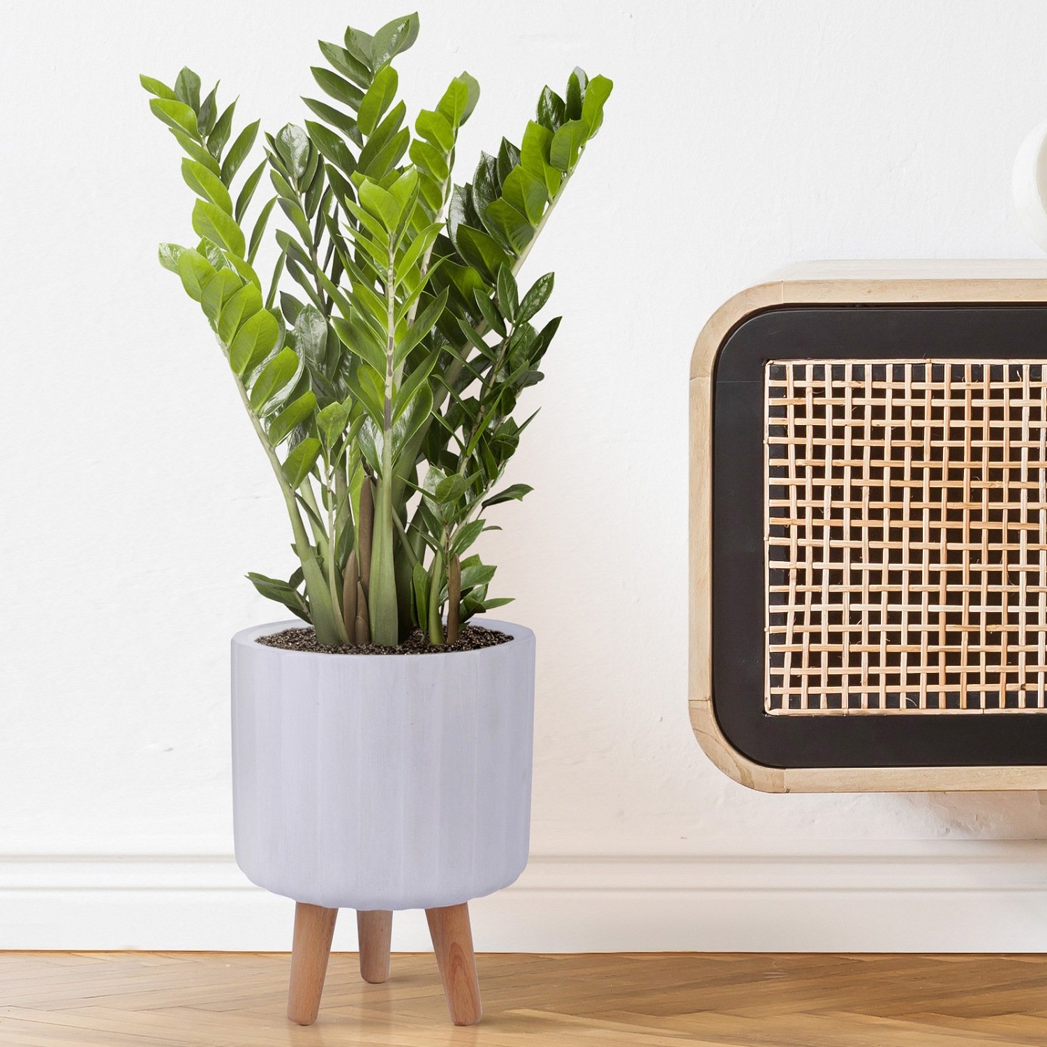 IDEALIST Lite Modern Ribbed Cylinder Planter on Legs, Round Pot Plant Stand Indoor