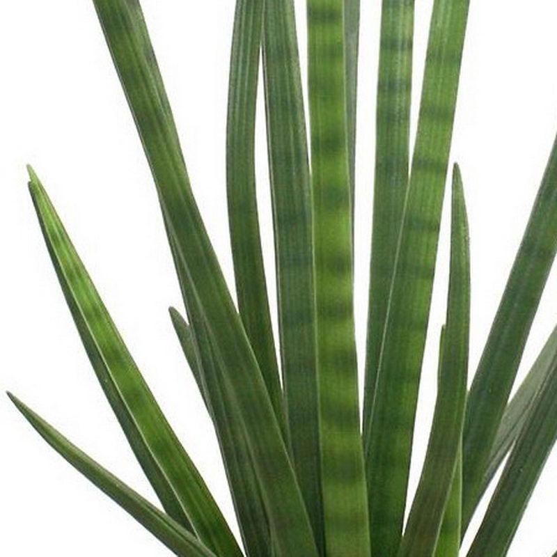 SANSEVIERIA CYLINDRICA Artificial Flower Plant